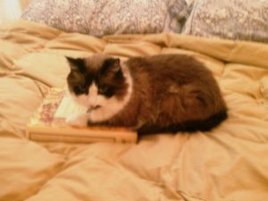 Fannie reads Thucydides.